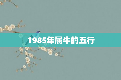 1985年属牛的五行