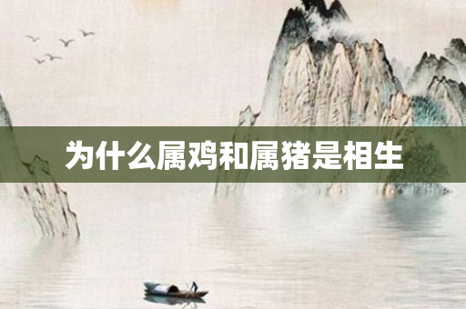 为什么属鸡和属猪是相生