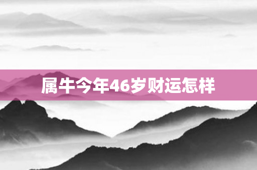 属牛今年46岁财运怎样