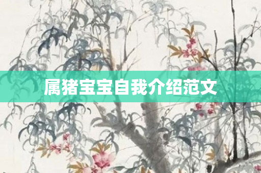 属猪宝宝自我介绍范文