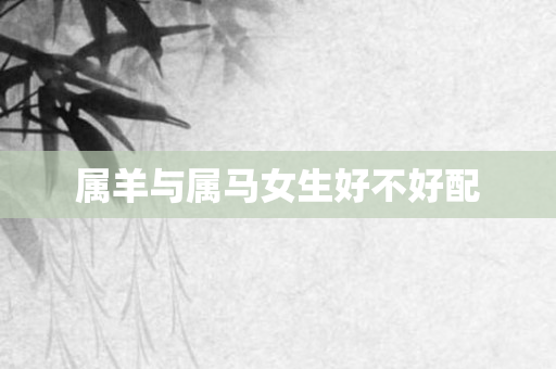 属羊与属马女生好不好配