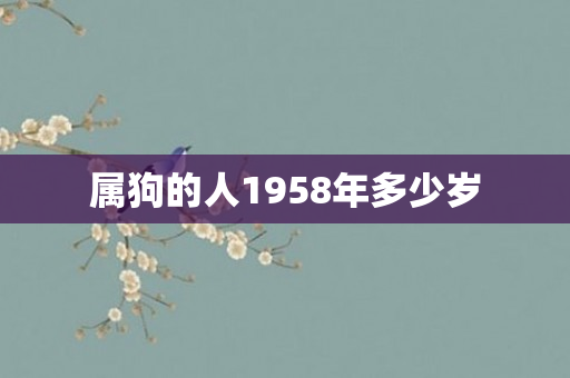 属狗的人1958年多少岁