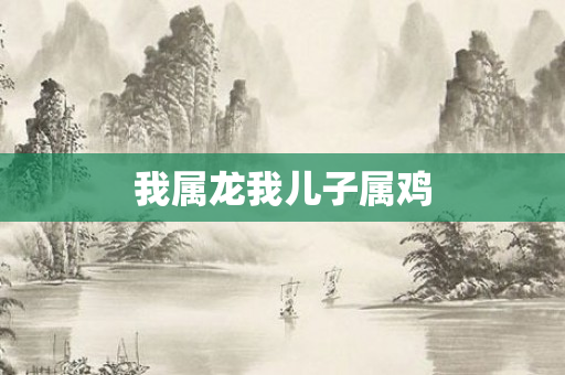 我属龙我儿子属鸡