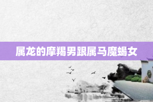 属龙的摩羯男跟属马魔蝎女