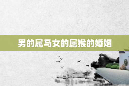 男的属马女的属猴的婚姻