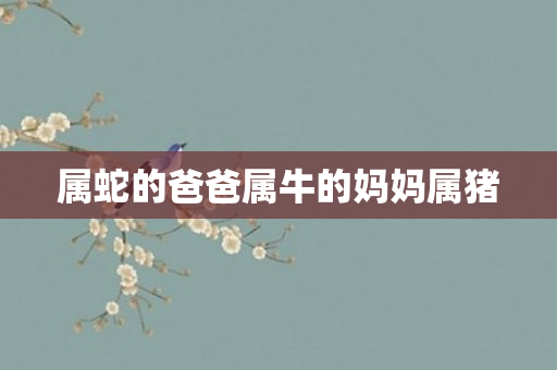 属蛇的爸爸属牛的妈妈属猪