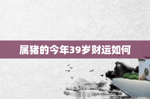 属猪的今年39岁财运如何