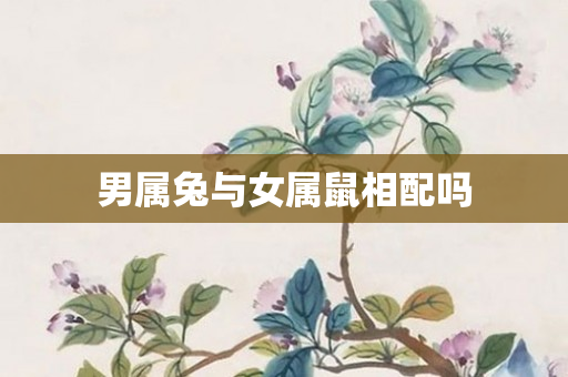 男属兔与女属鼠相配吗