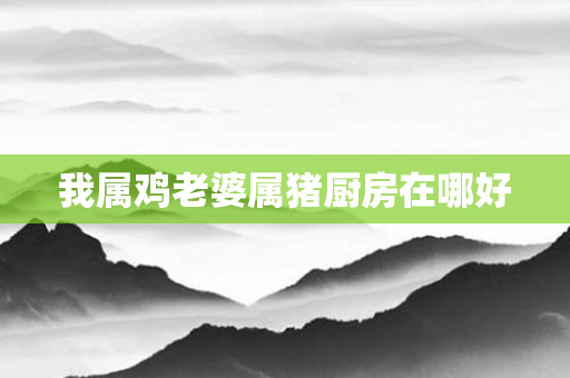 我属鸡老婆属猪厨房在哪好