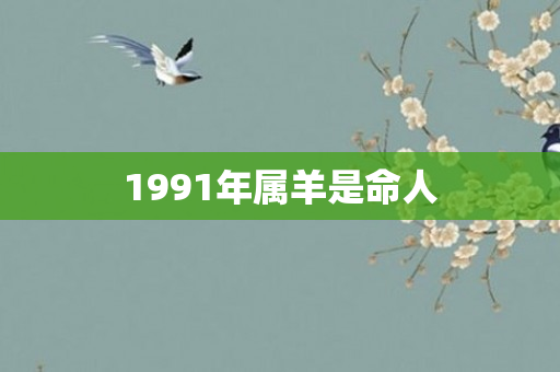 1991年属羊是命人