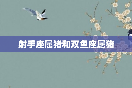 射手座属猪和双鱼座属猪