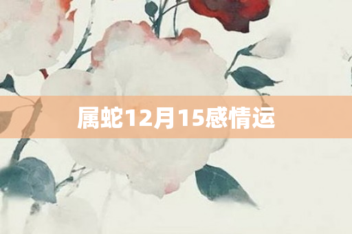 属蛇12月15感情运
