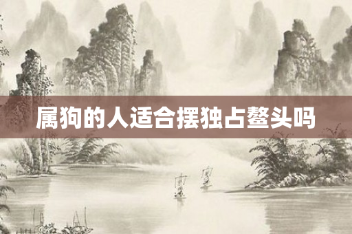 属狗的人适合摆独占鳌头吗