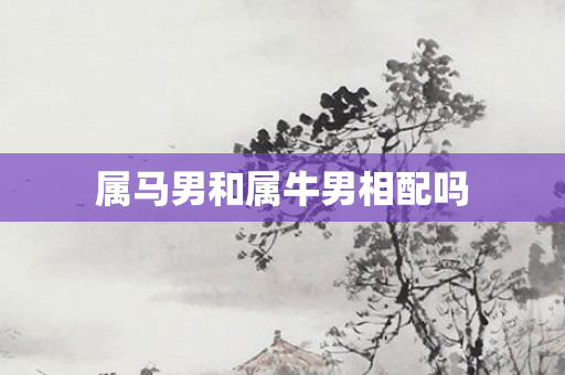 属马男和属牛男相配吗