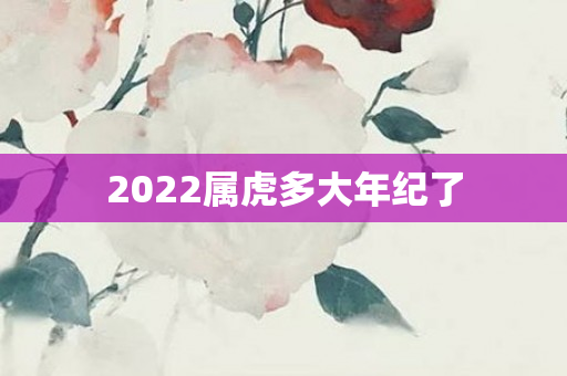 2022属虎多大年纪了