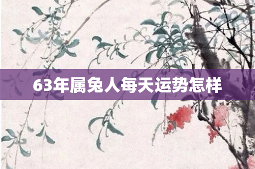 63年属兔人每天运势怎样