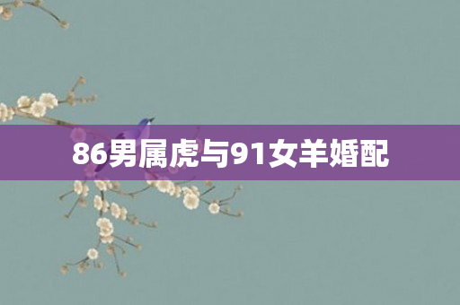 86男属虎与91女羊婚配
