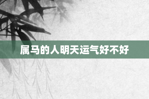 属马的人明天运气好不好