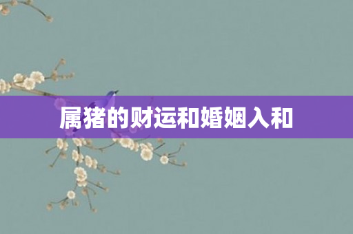 属猪的财运和婚姻入和