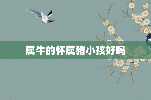 属牛的怀属猪小孩好吗