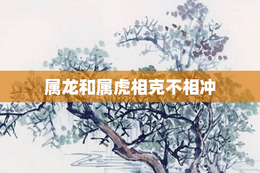 属龙和属虎相克不相冲
