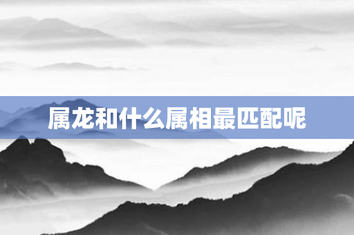 属龙和什么属相最匹配呢