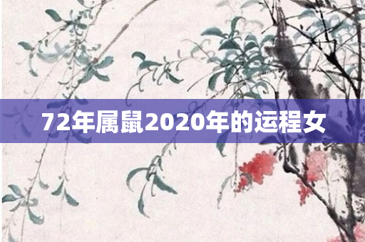 72年属鼠2020年的运程女