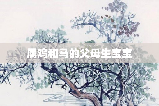 属鸡和马的父母生宝宝