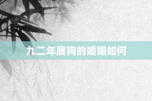 九二年属狗的婚姻如何