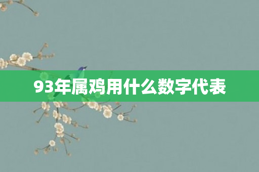 93年属鸡用什么数字代表