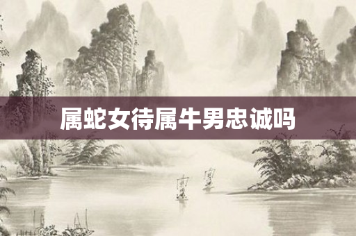 属蛇女待属牛男忠诚吗