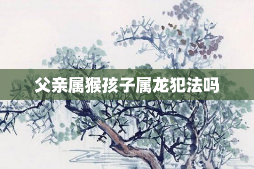 父亲属猴孩子属龙犯法吗
