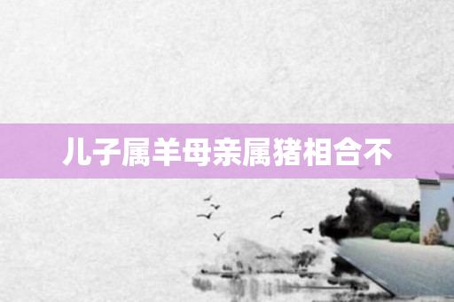 儿子属羊母亲属猪相合不