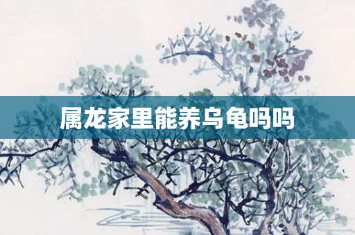 属龙家里能养乌龟吗吗