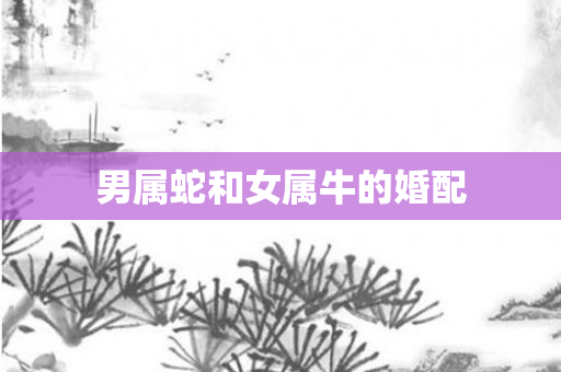 男属蛇和女属牛的婚配