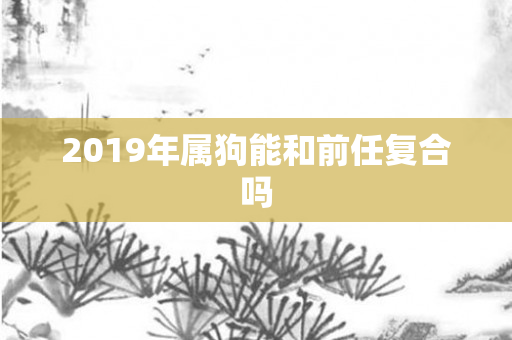 2019年属狗能和前任复合吗
