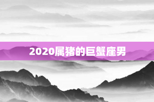 2020属猪的巨蟹座男
