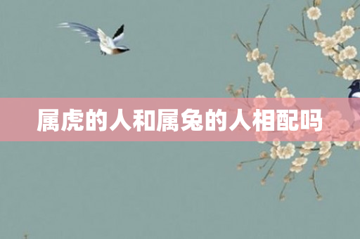 属虎的人和属兔的人相配吗
