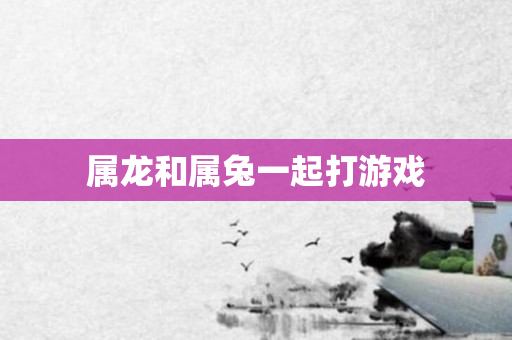 属龙和属兔一起打游戏
