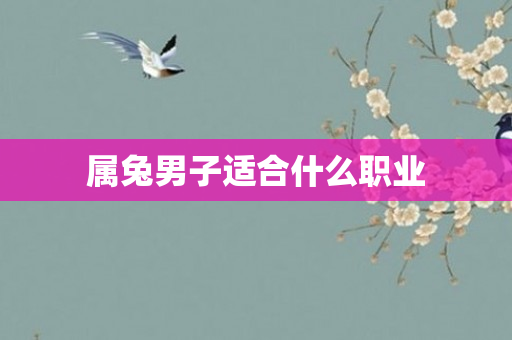 属兔男子适合什么职业