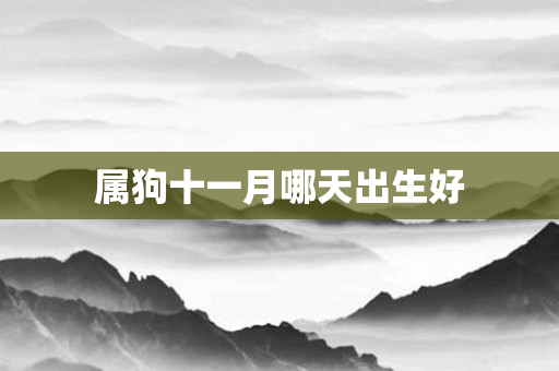 属狗十一月哪天出生好