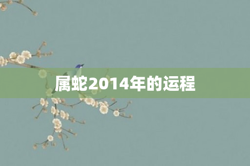 属蛇2014年的运程