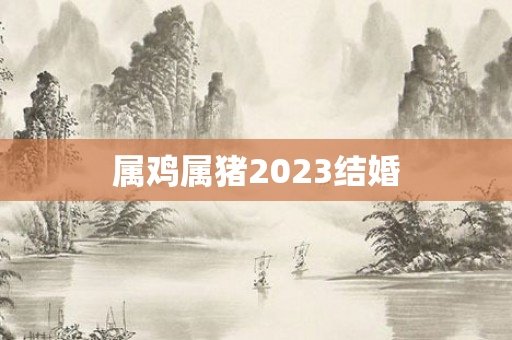 属鸡属猪2023结婚