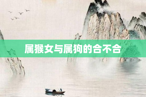 属猴女与属狗的合不合