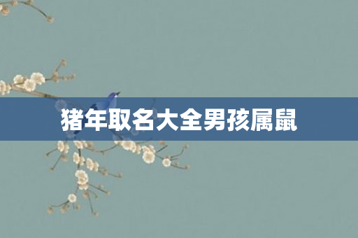 猪年取名大全男孩属鼠