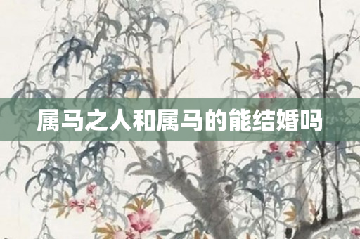 属马之人和属马的能结婚吗