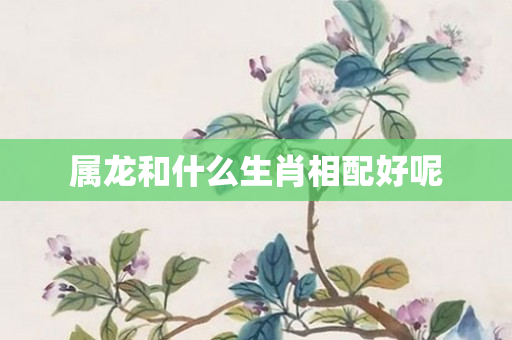属龙和什么生肖相配好呢