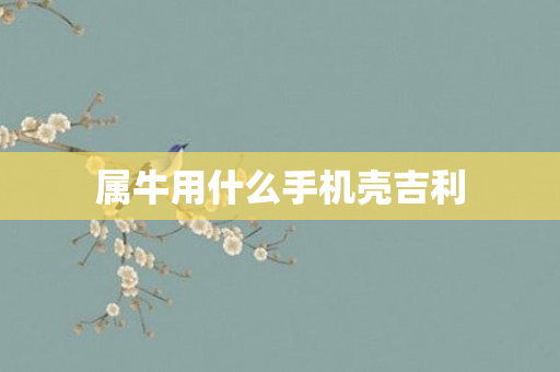 属牛用什么手机壳吉利