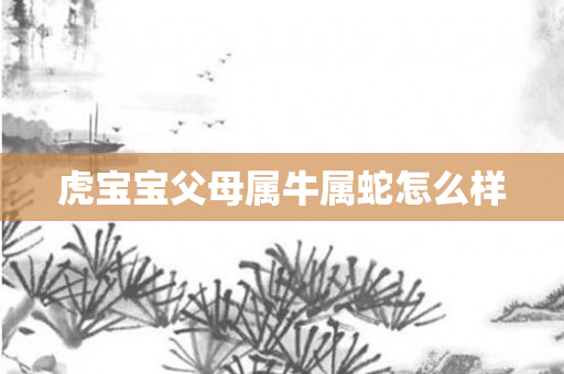 虎宝宝父母属牛属蛇怎么样