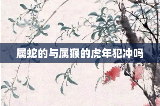 属蛇的与属猴的虎年犯冲吗